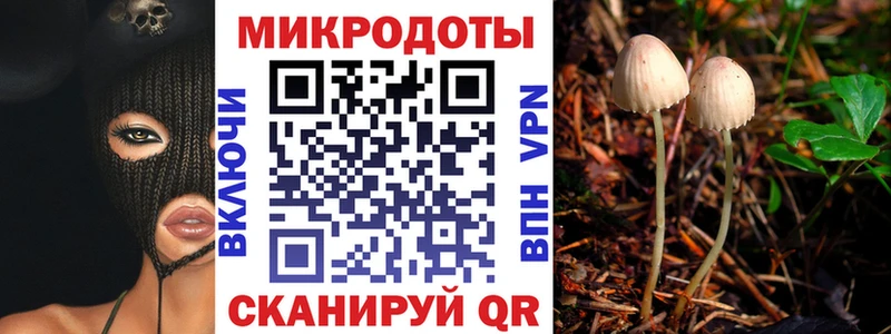 Галлюциногенные грибы MAGIC MUSHROOMS  Купить закладки  Кирсанов 